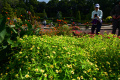2501028京都植物園12