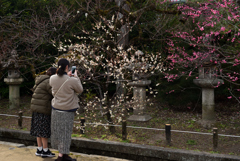 190214c北野天満宮15