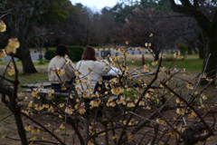 240308a京都御苑14