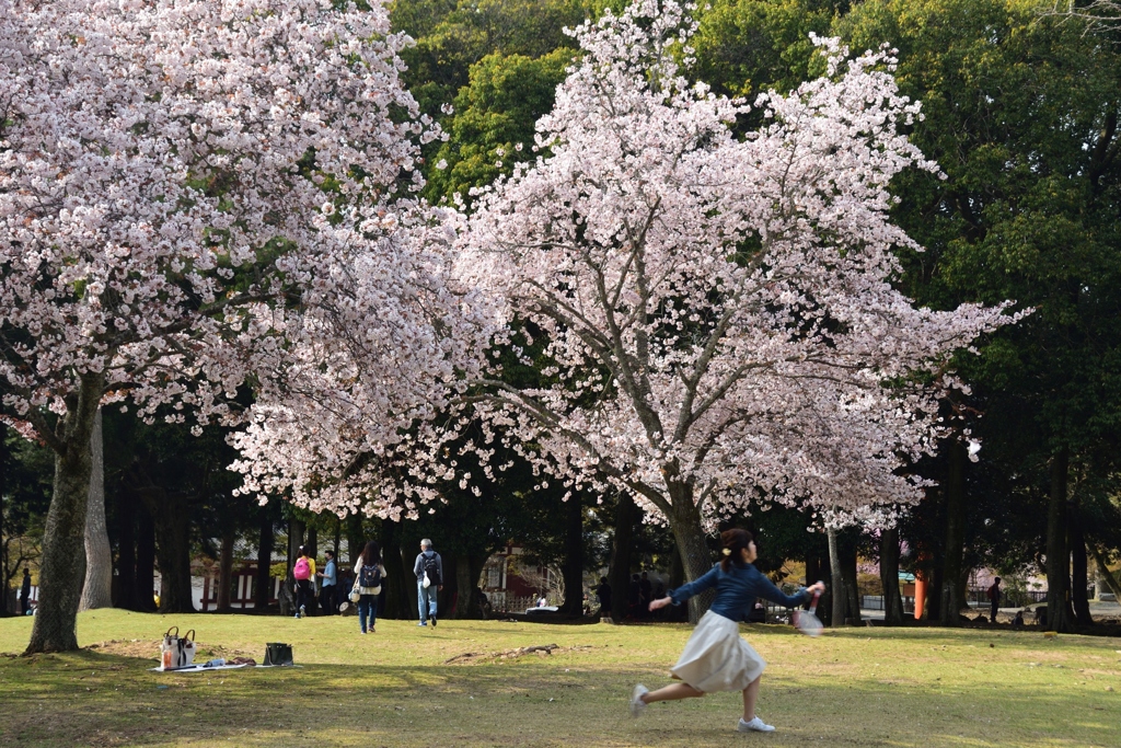 180401c奈良公園47+