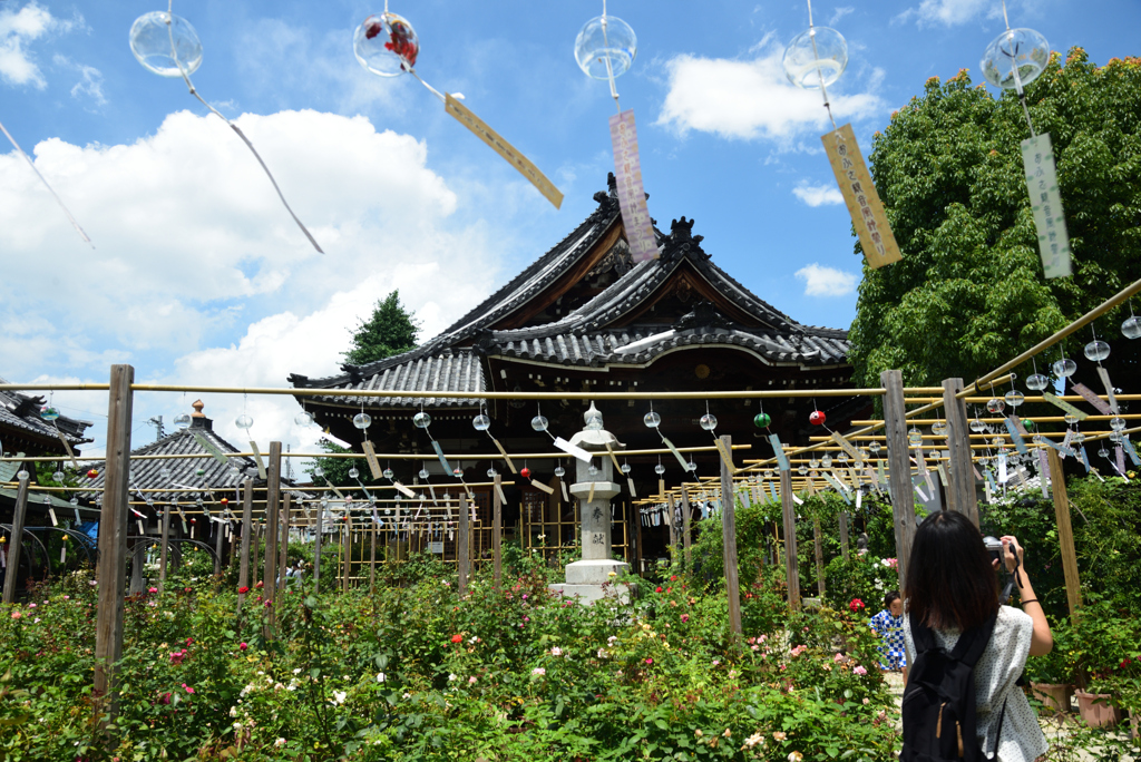 200718cおふさ観音33