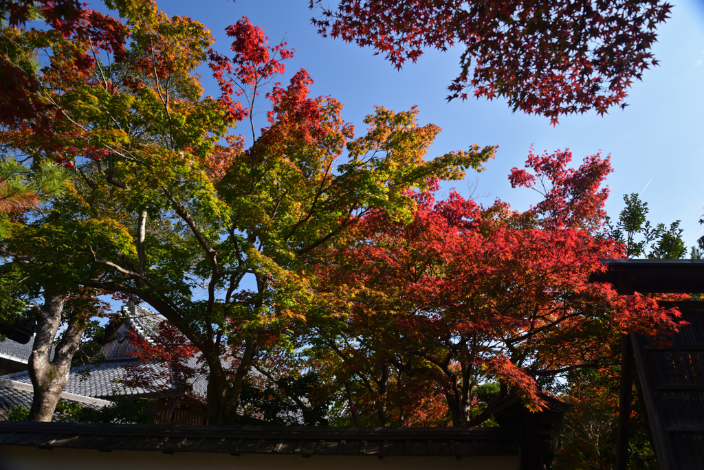 221111a清凉寺17