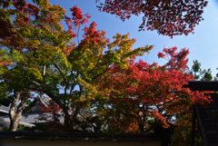 221111a清凉寺17