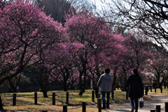 190218荒山公園69