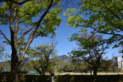 190420d京都植物園04