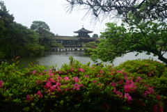 250603平安神宮28