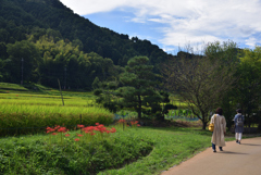 190925a明日香村岩戸10