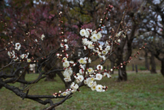 200125大阪城48 200125大阪城48