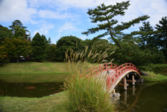 201011b大乗院庭園08