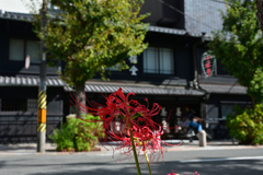241011寺町通32