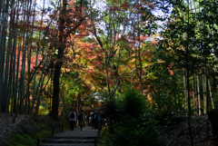 191130c地蔵院06