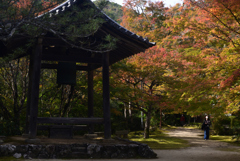 211106c西明寺17