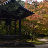 211106c西明寺17