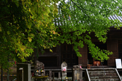 231116c大威徳寺30