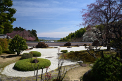 220401b正法寺15 220401b正法寺15