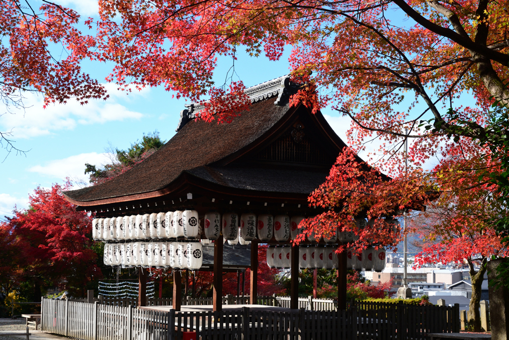 231130c粟田神社39