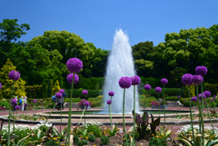 220518京都植物園32