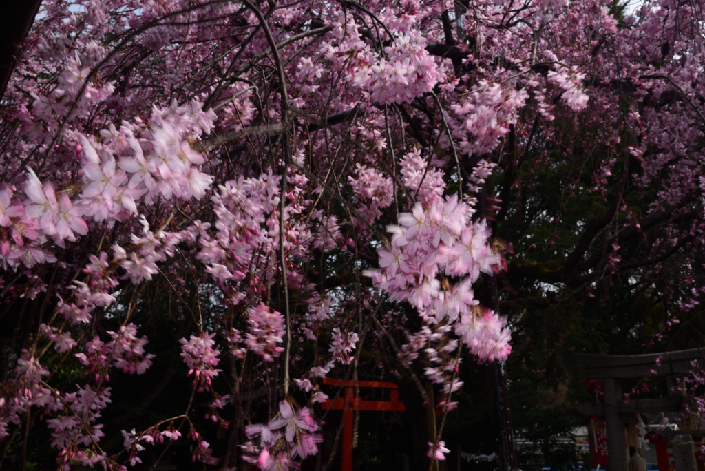 190327d水火天満宮08