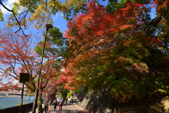 211126h宇治川46