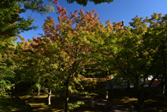 211029c智積院55