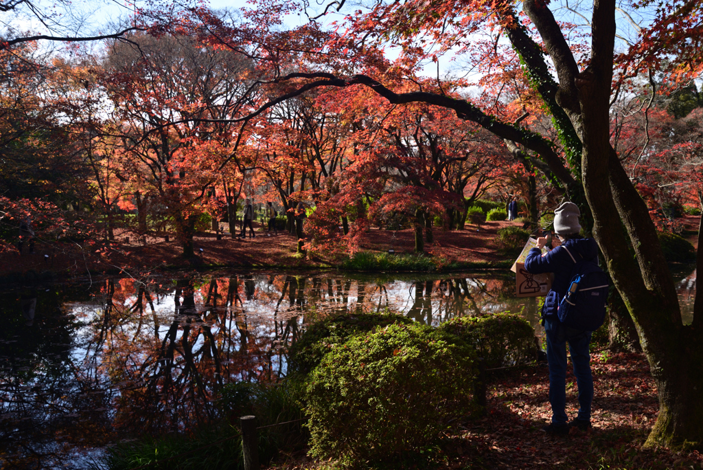 221203a京都植物園17