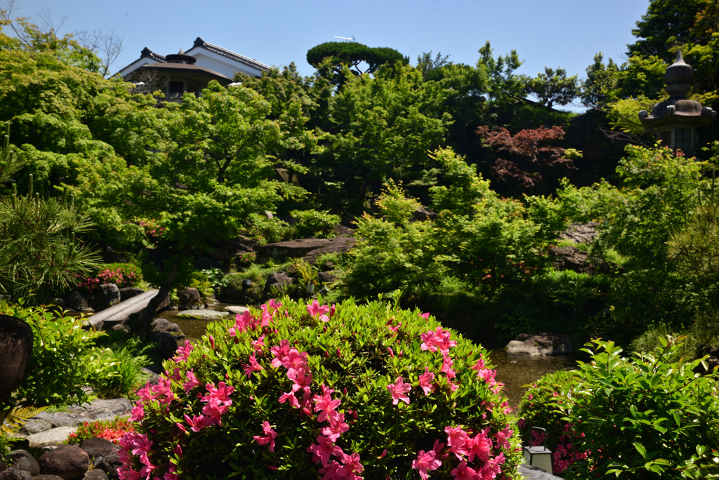 240510a高瀬川源流庭苑06