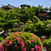 240510a高瀬川源流庭苑06