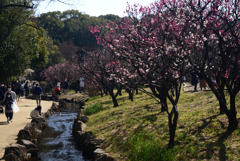 220226万博公園57