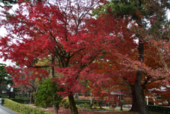 201213b相国寺03