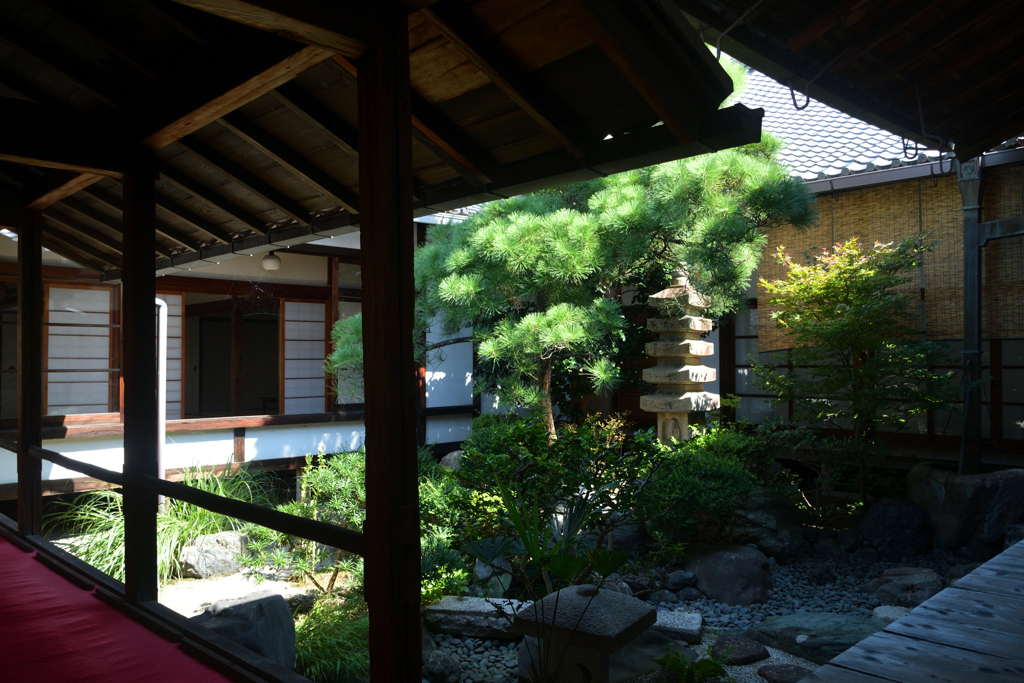 250916妙蓮寺37