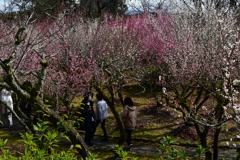 240224a石山寺12