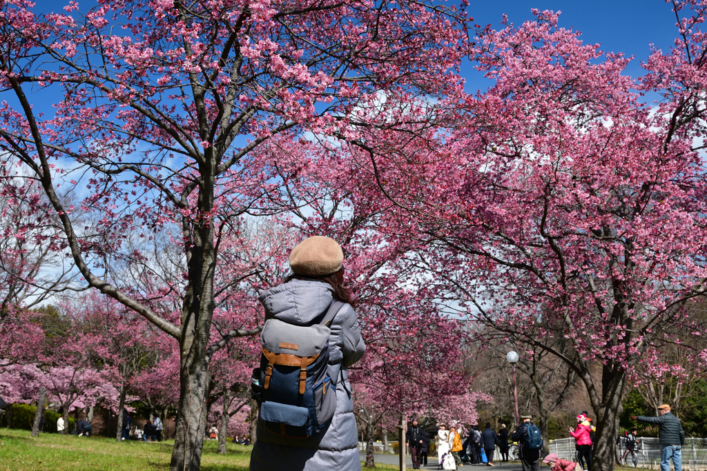 240302鶴見緑地43