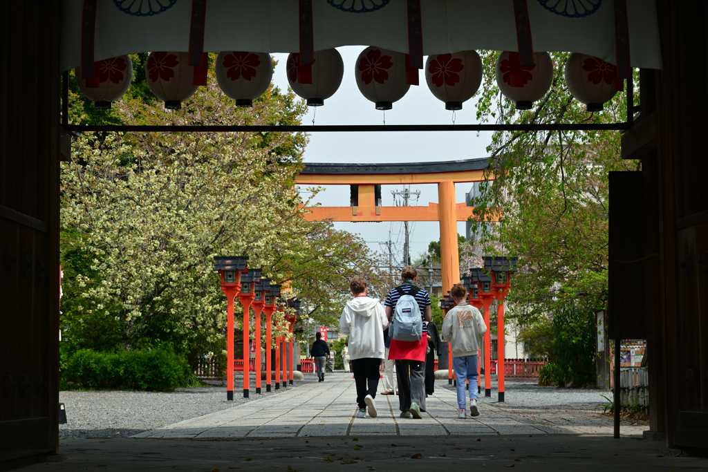 250418b平野神社35