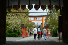 250418b平野神社35