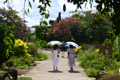 240914京都植物園53