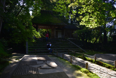 191102e法然院63