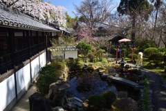220401a十輪寺17