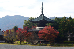 211119a清凉寺06
