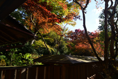 221104d宝泉院37