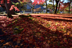 191129a南禅寺20