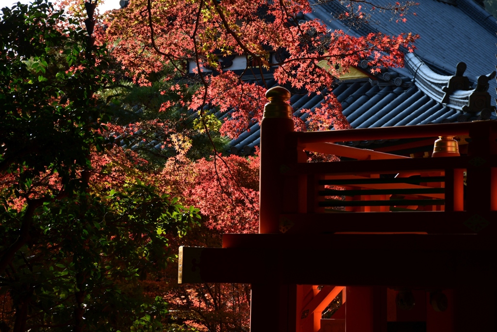 171117毘沙門堂24