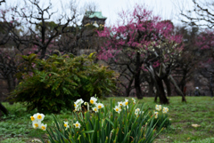 200125大阪城35 200125大阪城35