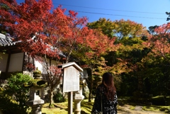 181103a西明寺11