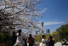 190405a天王寺公園05