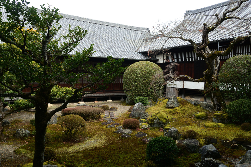 230223a醍醐寺24
