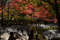 201115a室生寺26