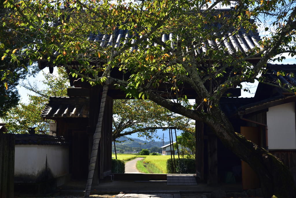 190925c明日香村橘寺07