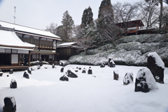 250208b光明院25