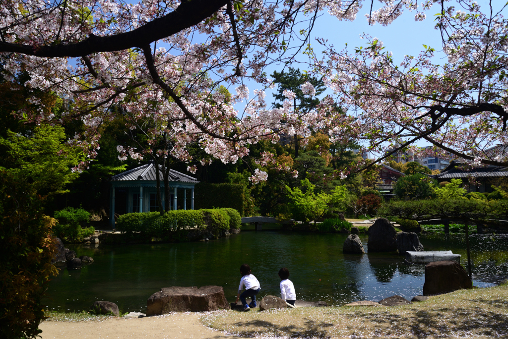 220409b四天王寺31