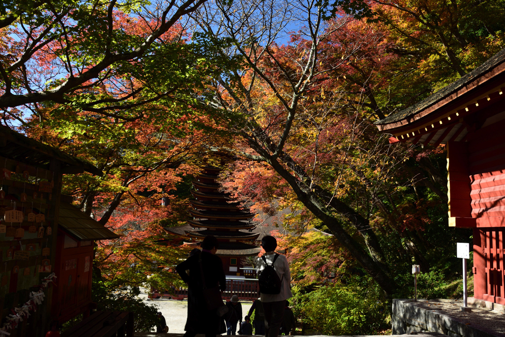 171113a談山神社35+